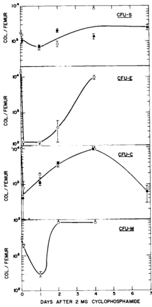 FIGURE 2 The number of CFU-S r  E r  C and M per femur in mice  as a function of time following a single intraperitoneal  injec-tion of 2 mg of cyclophosphamide
