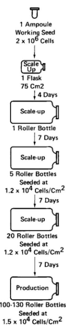 FIGURE 1 Typical scale-up procedure for large-scale virus  production. 