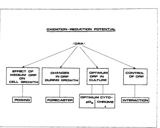 FIGURE 1 Key points in the known role of ORP in eucaryotic  cell cultures. 