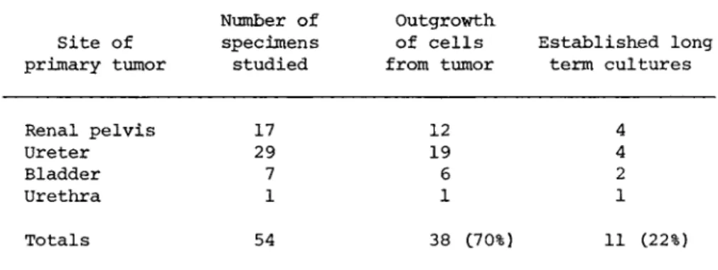 a Only epithelial-like cells are counted in the 70% figure  listed under outgrowth of cells from tumor