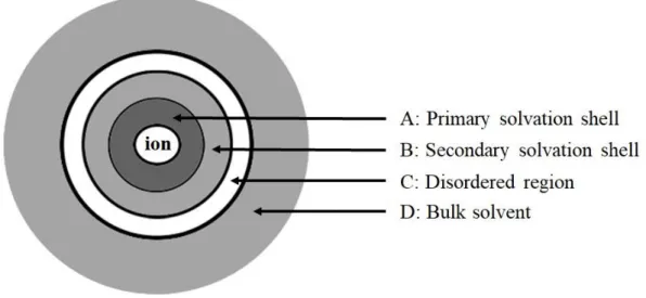 Figure 1.5 The schematic structure of a solvated ion; on the basis of the data published in [1]