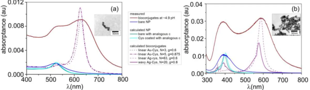 Figure 2. The absorptance spectra of (a) gold and (b) silver nanoparticle dispersions