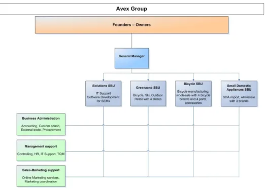 1. ábra: AVEX csoport szervezeti felépítése –  