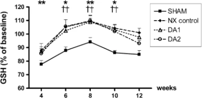 Fig. 3 Ratios of oxidized and reduced glutathione (GSSG/GSH) in the study groups. Darbepoetin alfa (DA1 and DA2 groups) or isotonic saline (SHAM and NX control groups) administration was initiated at week 4