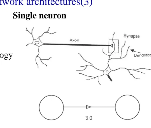Figure shows the analogy  between synapse and