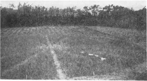 FIG. 1. Circular experiment field for the study of the spread of a disease in  relation to weather conditions: Diseased plants are planted in the center