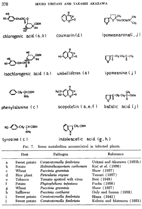 FIG.  7.  Some metabolites accumulated in infected plants. 