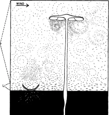 FIG. 10. A cup-fungus (Peziza sp.) and an agaric (Collybia radicata). The  ground is shown black