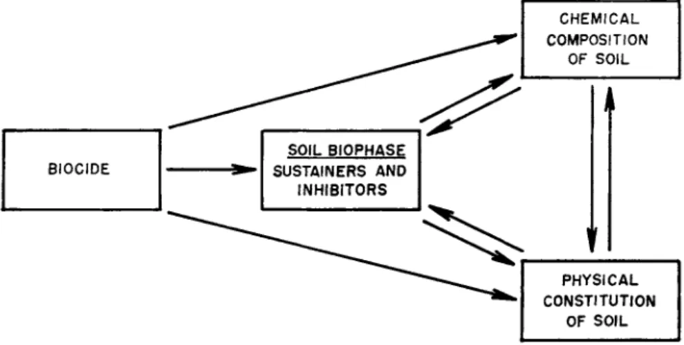 FIG. 4. Effects of the biocide on the soil. 