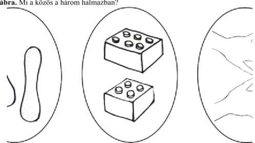  1.1. ábra. Mi a közös a három halmazban?