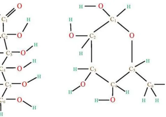 1.12. ábra - A glükóz nyílt és zárt formájú szerkezeti képlete.