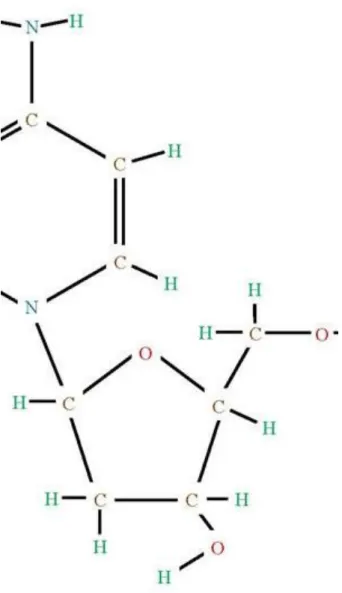 1.15. ábra - A guanin molekula szerkezete.