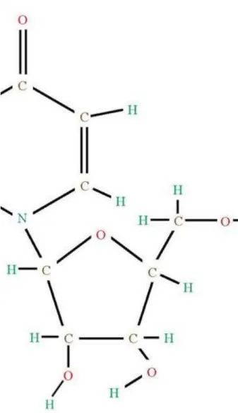 1.17. ábra - Az uracil molekula.