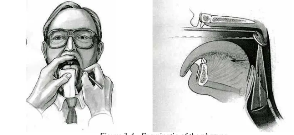 Figure 3-4.: Examinatio of the pharynx