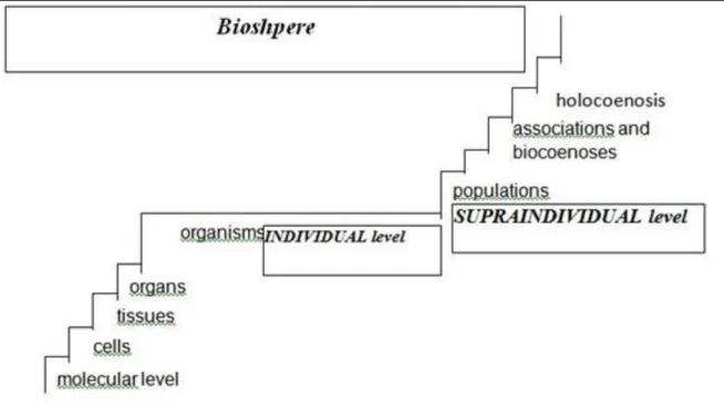 Fig. 4. supraindividual levels of organization: • population • species • biocoenosis • holocoenosis • biom • biosphere