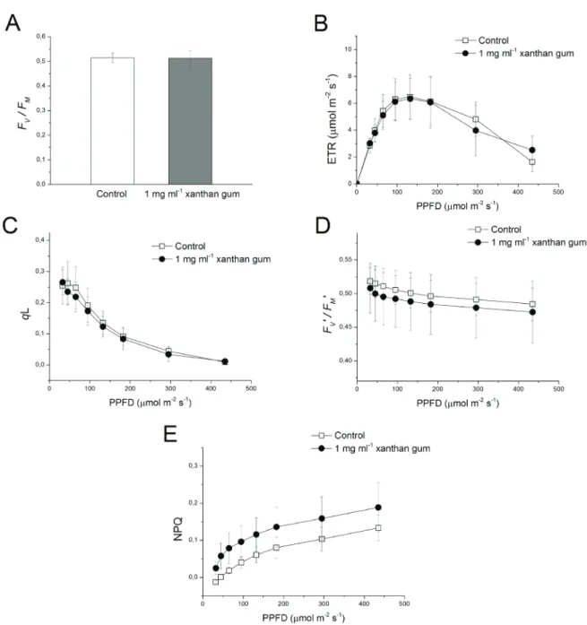 Figure 5. Photosynthetic parameters obtained from rapid light-response curves of abaxial guard cells in control and xanthan gum-treated leaves