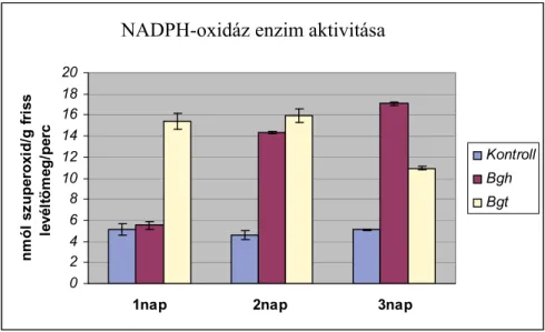 5. ábra Az NADPH-oxidáz enzimaktivitás változása árpában (cv. Ingrid Mla), a gazda- és  nemgazda-rezisztenciát kiváltó lisztharmatos fertőzés utáni első 3 napon