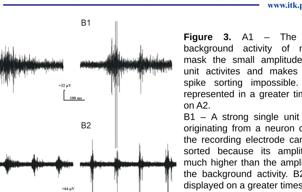 Figure 3. A1 – The strong background activity of neurons mask the small amplitude single unit activites and makes correct spike sorting impossible