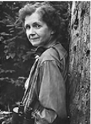6. ábra: Rachel Carson (1907-1964) (a kép származási helye: 
