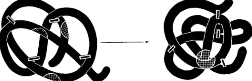 FIG. 2. The spontaneous conversion of a randomly crosslinked protein deriva­