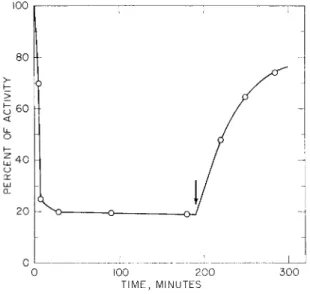 FIG. 3. Inactivation and disulfide interchange of native RNase-S-protein cata­