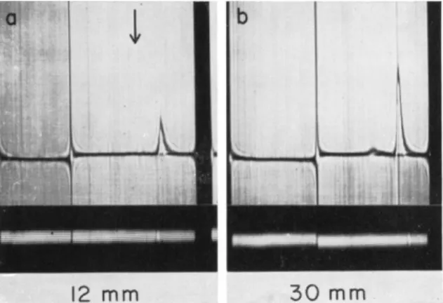 FIG. 5. Comparison of sedimentation profiles of myosin polymers  ( p H 8.3,  0.137 M KC1) observed using 12- and 30-mm synthetic boundary cells