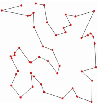 Figure 1.4.: The solution of the travelling salesman problem for 50 cities   (Wolfram Mathematica)  