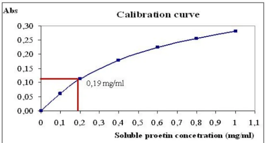 Figure 1: Determination of protein concentration which is based on calibration curve  The dissolved protein concentration of samples could be determined with  calibration curve as follow: an absorbance value is needed to select from data of  measurements