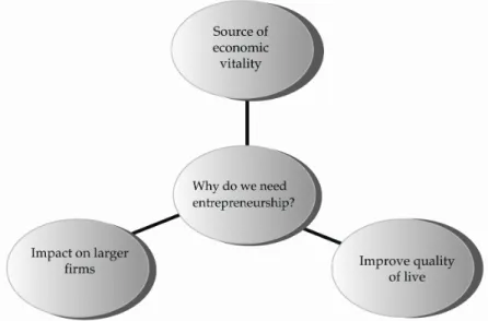 Figure 1.7: Why do we need entrepreneurship? 