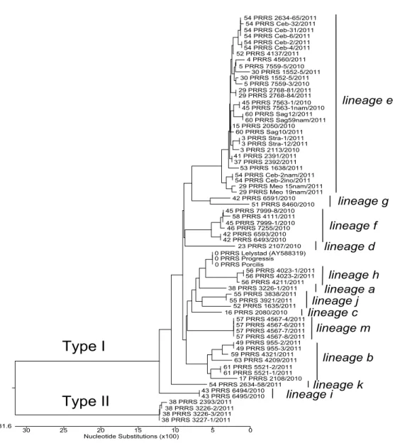 Figure 1: The phylogenetic tree was constructed using DNASTAR program.  