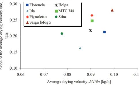 Figure 10. Slope of average drying velocity lines of 1996-experiments as a function of average drying  velocities.