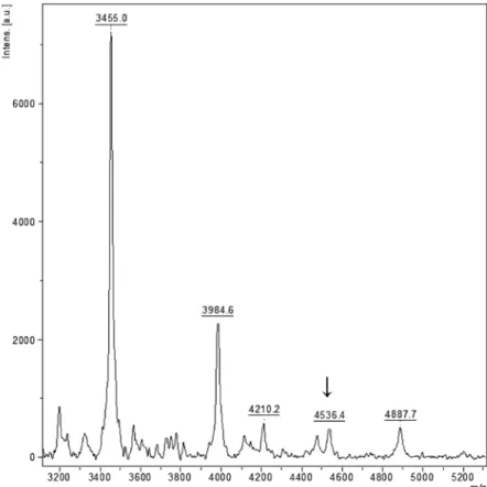 Fig. 3. MALDI TOF/TOF spectrum of a hypoantigenic infant formula sample. The average peak of the protonated  quasimolecular ion [M+H+] of PACAP38 at 4536 Da (arrow)