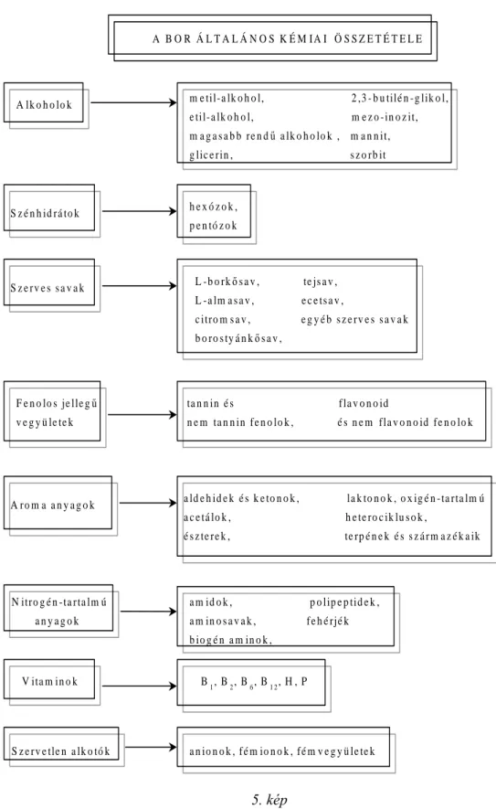 5. kép  3.3  K ÉRDÉSEK ,  FELADATOK : 