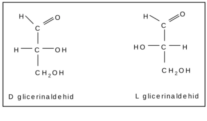 7. kép  L- és D glicerinaldehid izomerek 