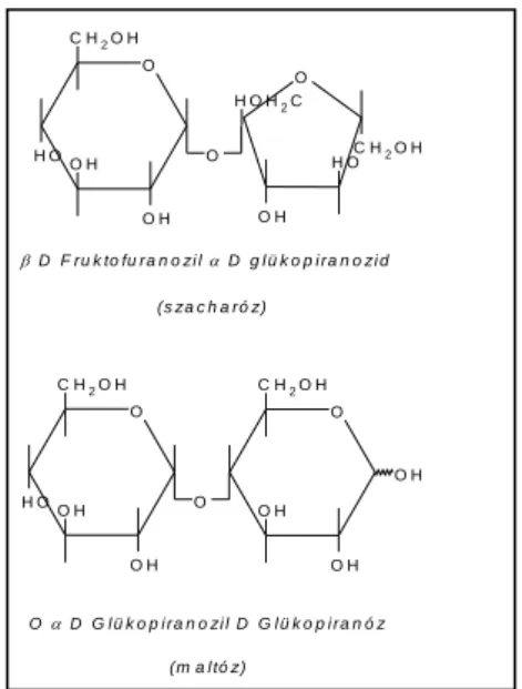 8. kép  4.3  P OLISZACHARIDOK