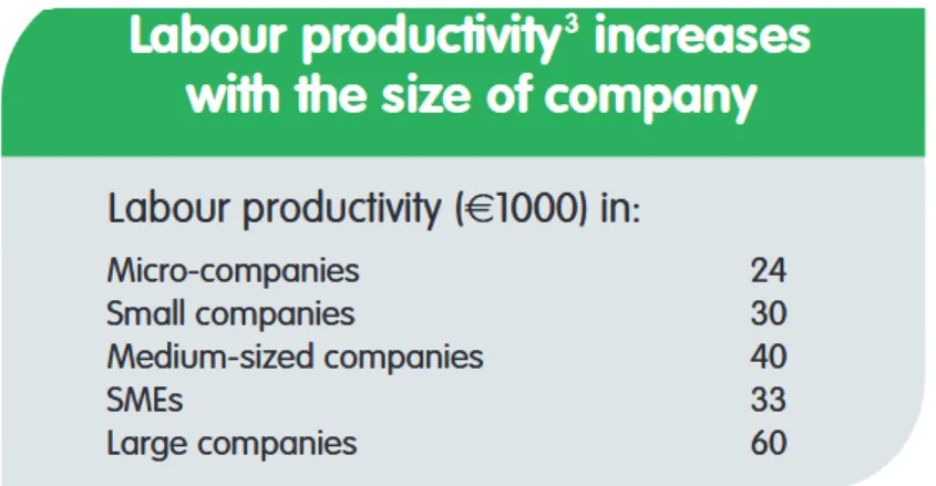 4. ábra. A munka termelékenysége és a vállalkozás mérete közötti összefüggés. 