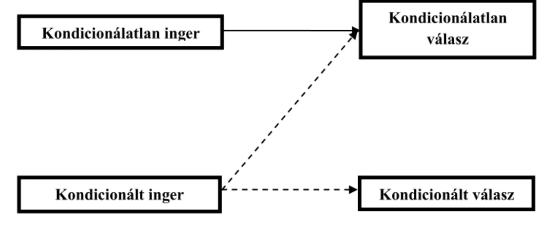 4. ábra. A tanulási folyamat logikai kapcsolatai a klasszikus kondicionálás esetében  (Forrás: Hofmeister-Tóth – Törőcsik, 1996 34