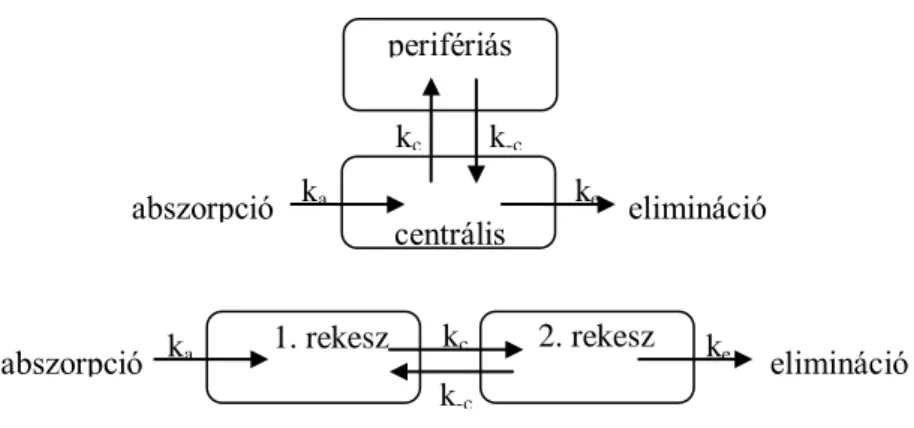 1. ábra:  Egyrekeszes nyílt  modell sémás ábrázolása. A k a   és  a  k e   az  abszorpció  és  az  elimináció sebességi állandói