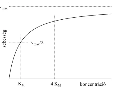3. ábra: Egy szubsztrát enzimatikus eliminációjának sebessége a szubsztrát  koncentrációjának függvényében (a jelölések magyarázatát ld