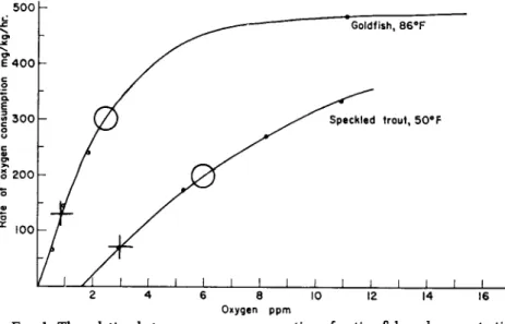FIG. 1. The relation between oxygen consumption of active fish and concentration  of dissolved oxygen