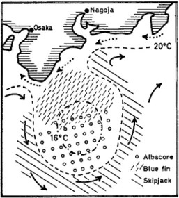 FIG.  5 . Distribution of tuna fisheries in accordance to water masses on the coast  of Japan (after Uda and Ishino,  1 9 5 8 ) 