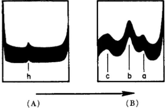 FIG. 3. Electrophoretic pattern (ascending) of an extract of cod muscle made  at low ionic strength