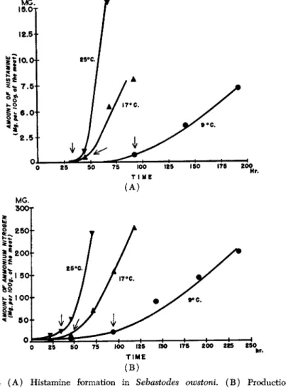FIG. 2  ( A ) Histamine formation in Sehastodes owstoni.  ( B ) Production of  ammonia in the flesh of Sehastodes owstoni