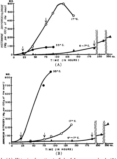 FIG. 1.  ( A ) Histamine formation in flesh of Japanese mackerel.  ( B ) Increase  in ammonia in flesh of Japanese mackerel