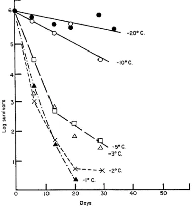 FIG. 15. Death of Bacillus pyocyaneus in frozen suspensions stored at different  temperatures