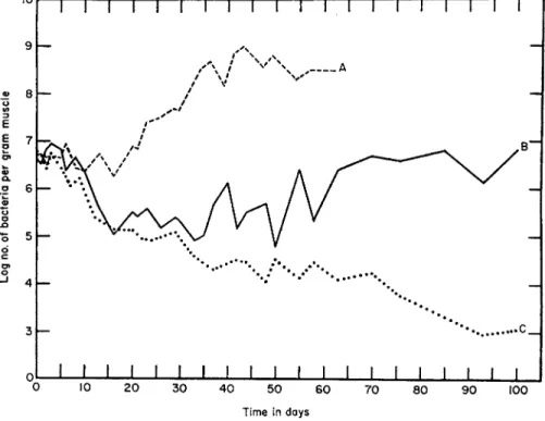 FIG.  1 6 . The effect of temperature on the rate of growth of bacteria in fish  muscle; A =  — 3 ° C , Β =  — 4 ° C , C =  — 6 ° C 