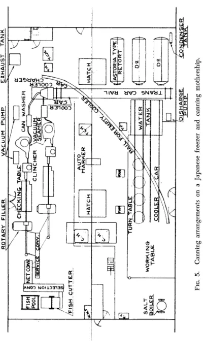 FIG. 5. Canning arrangements on a Japanese freezer and canning mothership. 