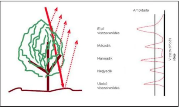 Ennek tipikus példája az erdős területek felmérése (3-10. ábra).