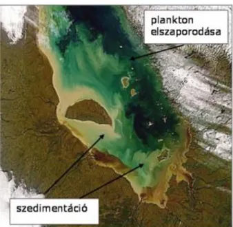 6-8. ábra Egy partvidék intenzív használatából fakadó vízszennyeződés (SeaWiFS). Forrás: science.hq.nasa.gov/ 