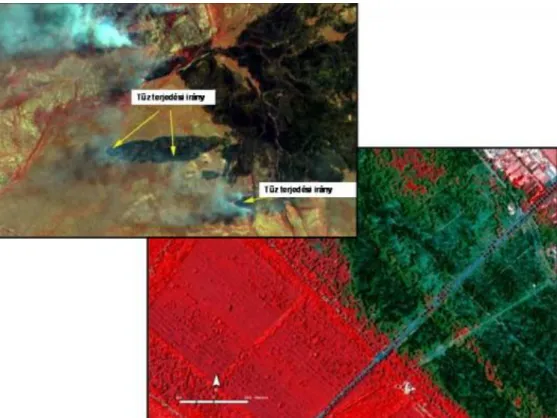 7-11. ábra Erdőtűz terjedése LANDSAT felvételen és leégett erdő terület IKONOS felvételen